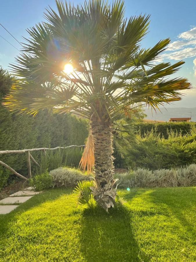 Villa Siciliana Con Piscina E Vista Panoramica Sul Mare Borgetto المظهر الخارجي الصورة